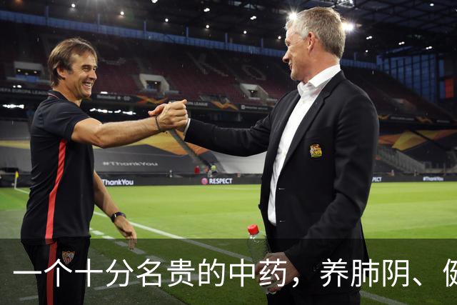 一个十分名贵的中药，养肺阴、健脾胃、补肾精，还对糖尿病有疗效