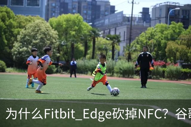 为什么Fitbit Edge砍掉NFC？谷歌：不到1%的人用