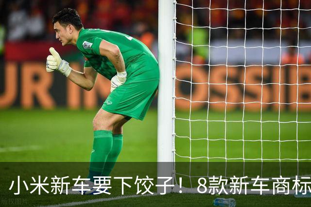 小米新车要下饺子！8款新车商标曝光：SU8、SU9全来