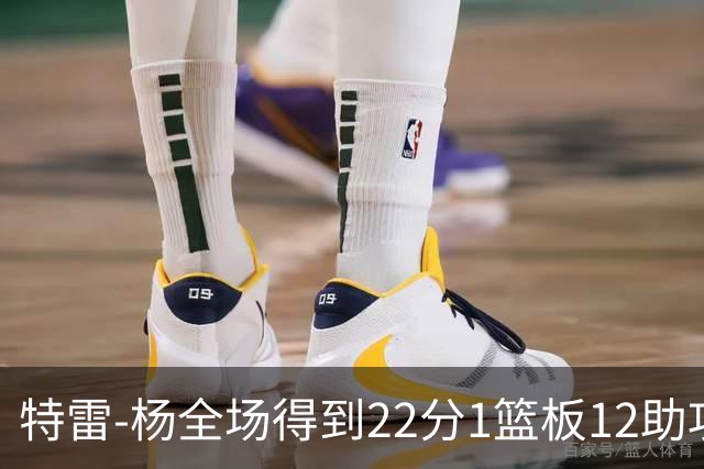 特雷-杨全场得到22分1篮板12助攻1抢断