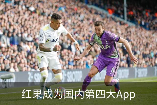 红果成为国内第四大App