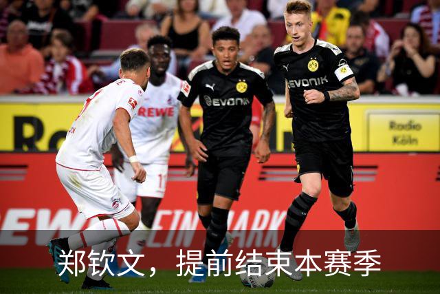 郑钦文，提前结束本赛季