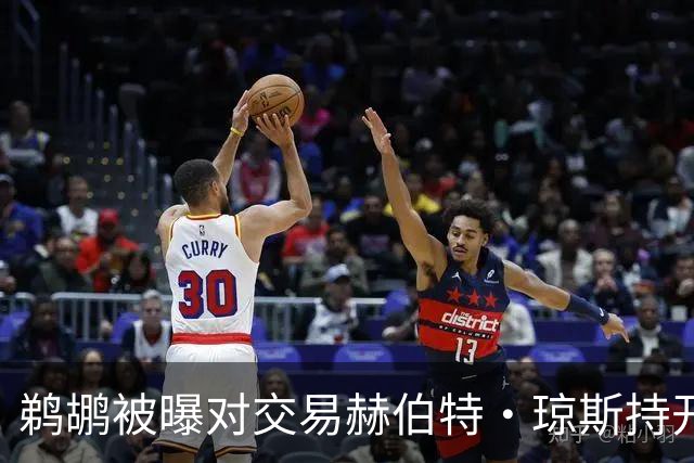 鹈鹕被曝对交易赫伯特·琼斯持开放态度，Stein辟谣：没这意愿