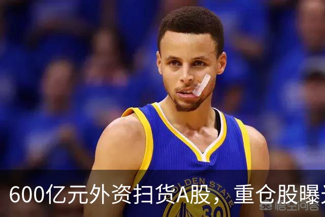 600亿元外资扫货A股，重仓股曝光